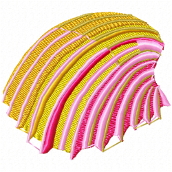 Seashell Embroidery Design 7 Seashell Embroidery Design 7